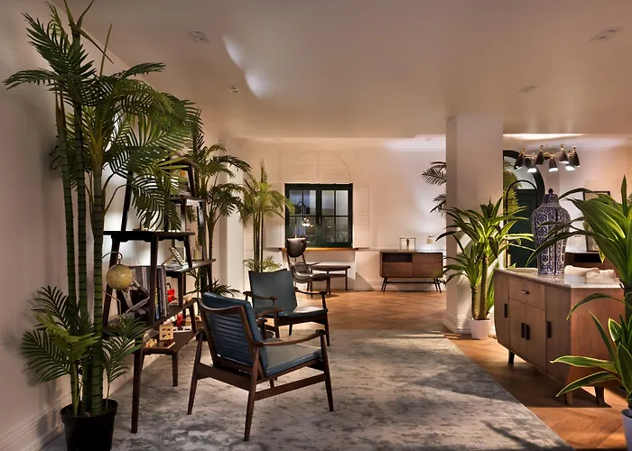 Brown House & Trogir