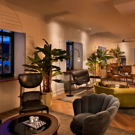 Brown House & Τρογκίρ